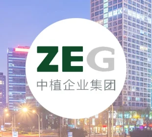 Zhongzhi Enterprise Group